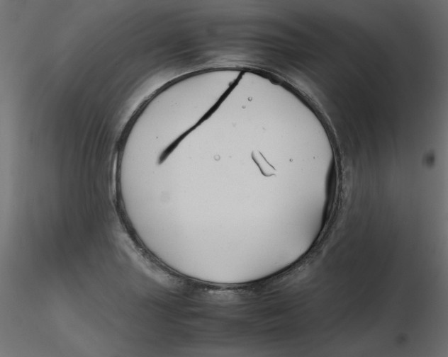 X0000116621227200912312132