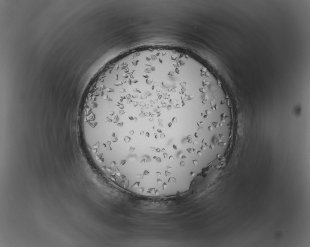 X0000116621229200912312132