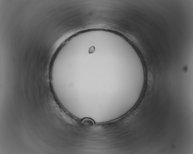 X0000116621230200912312132