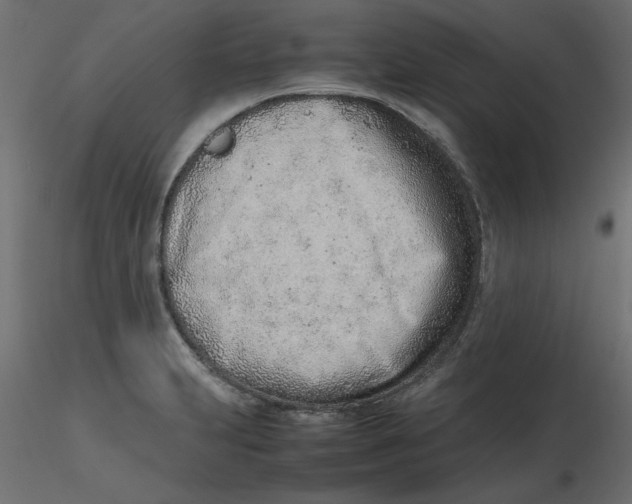 X0000116621231200912312132