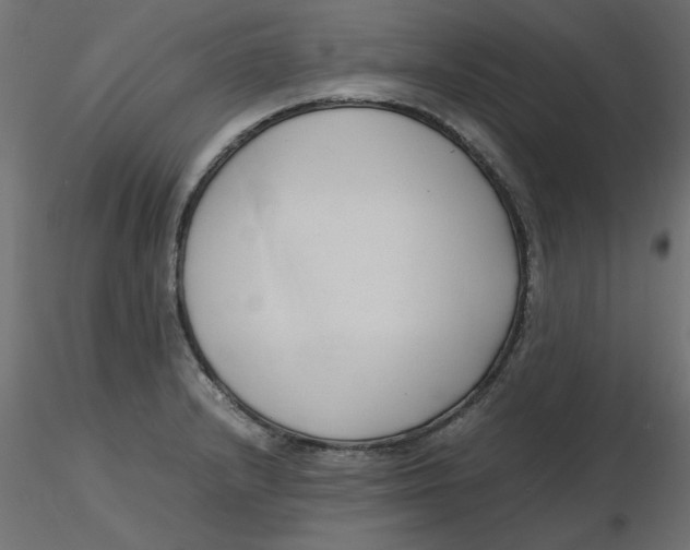 X0000116621232200912312132