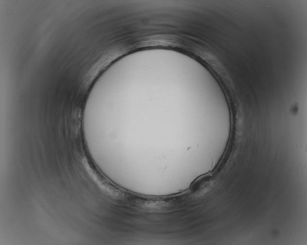 X0000116621233200912312132