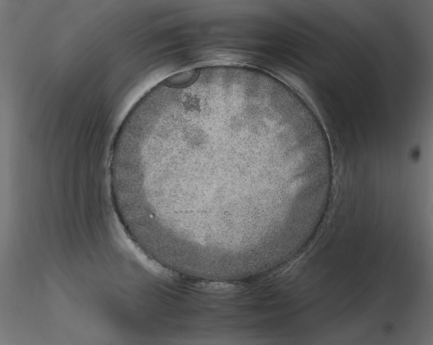 X0000116621235200912312132