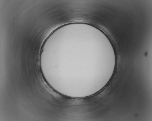 X0000116621236200912312132