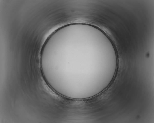 X0000116621238200912312132