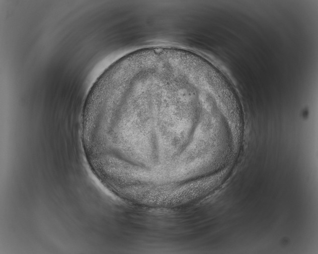 X0000116621239200912312132