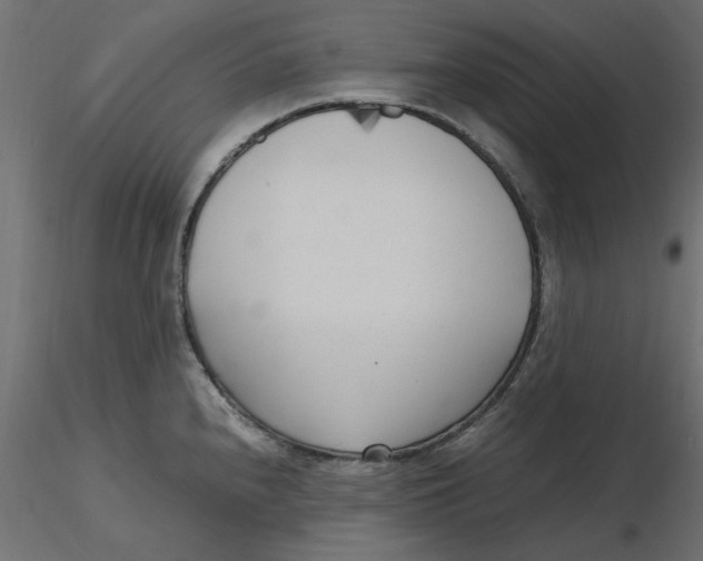 X0000116621240200912312132