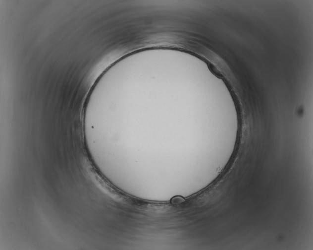 X0000116621242200912312132