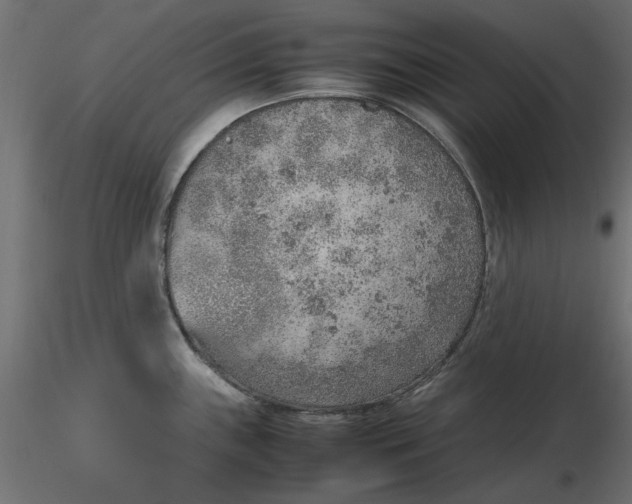 X0000116621243200912312132