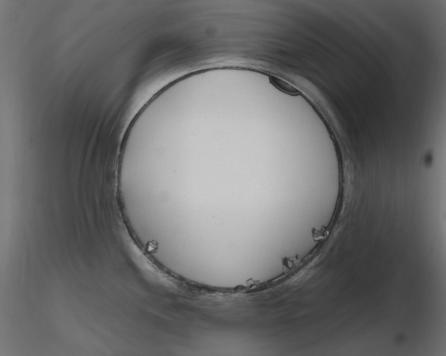 X0000116621244200912312132