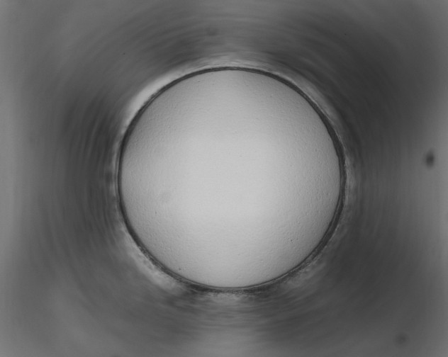 X0000116621246200912312132