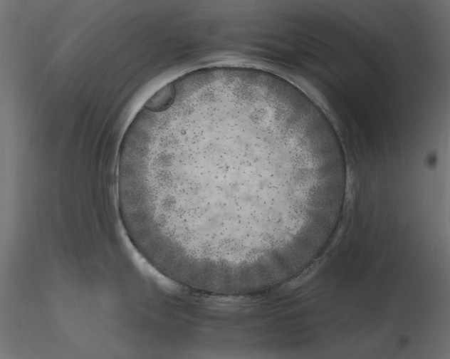 X0000116621247200912312132