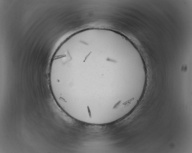 X0000116621248200912312132