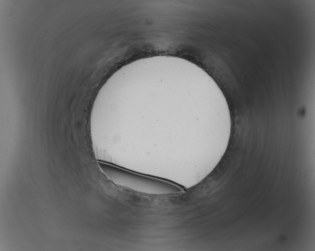 X0000116621249200912312131