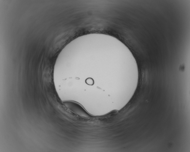 X0000116621250200912312131