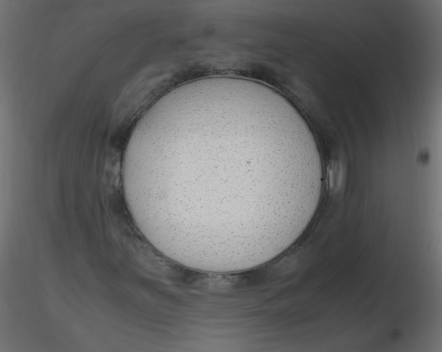 X0000116621251200912312131