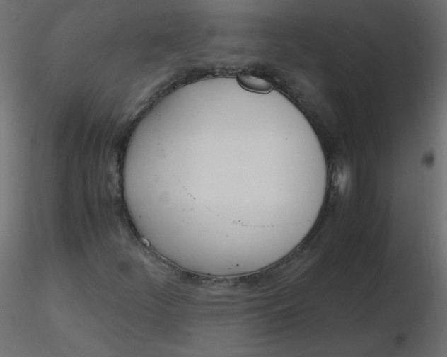 X0000116621252200912312131