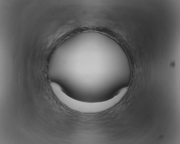 X0000116621253200912312131