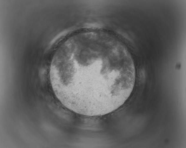 X0000116621254200912312131