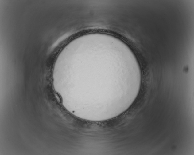 X0000116621255200912312131