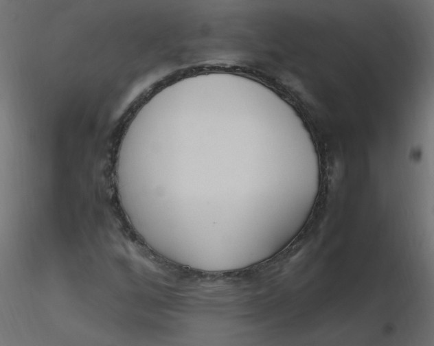 X0000116621256200912312131