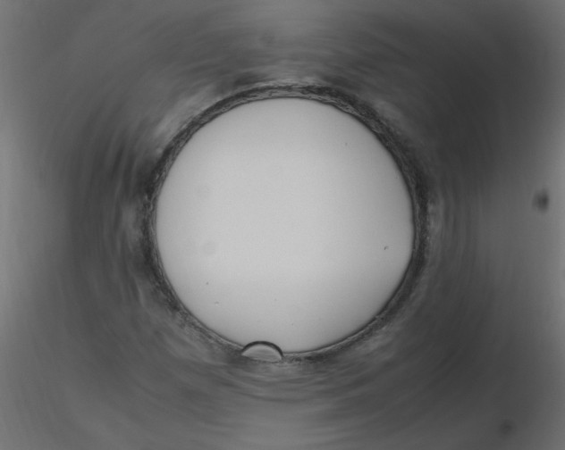 X0000116621257200912312131