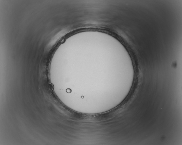 X0000116621259200912312131