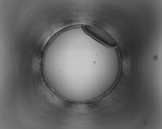 X0000116621260200912312131