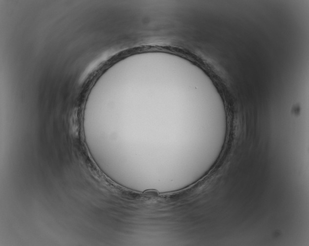 X0000116621262200912312131