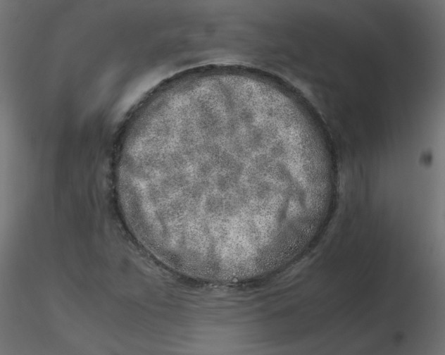 X0000116621263200912312131