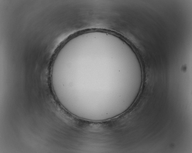 X0000116621264200912312131