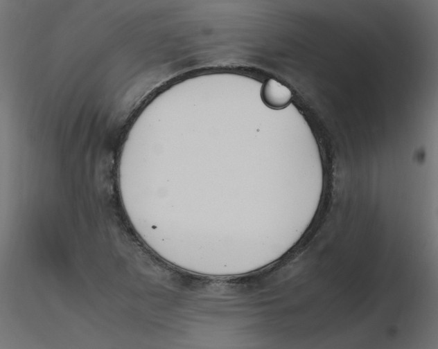 X0000116621265200912312131