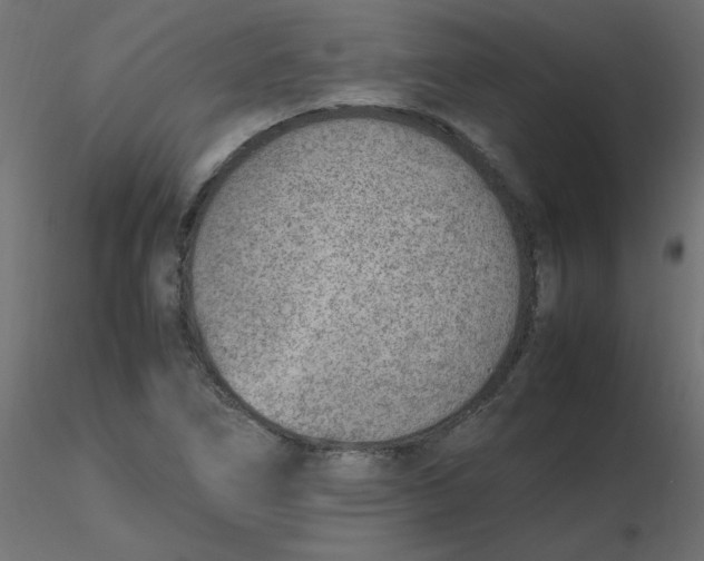 X0000116621266200912312131