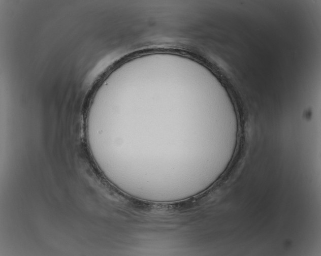 X0000116621267200912312131