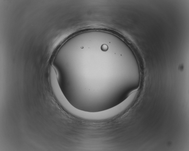 X0000116621269200912312131