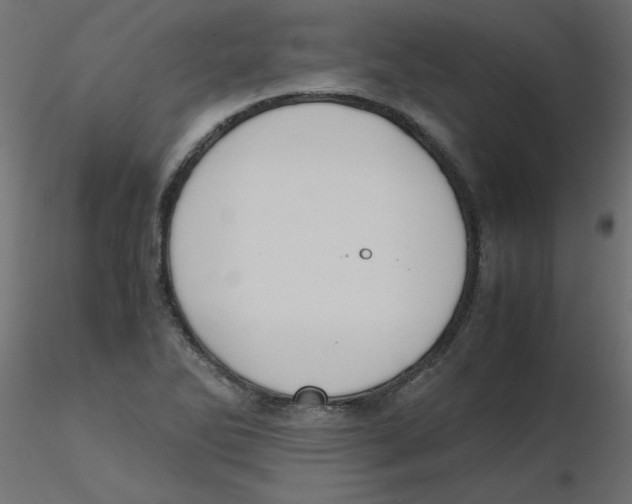 X0000116621270200912312131