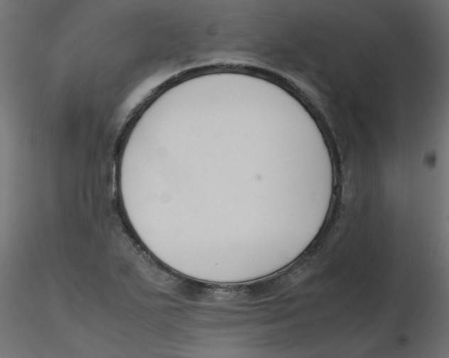 X0000116621271200912312131