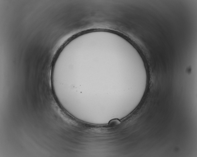 X0000116621272200912312131