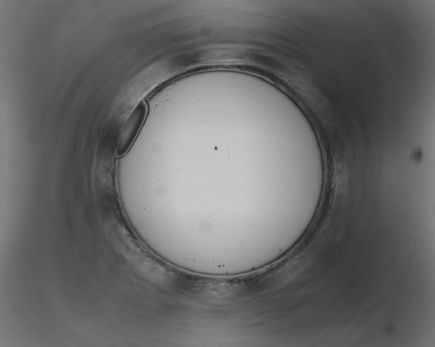 X0000116621273200912312131