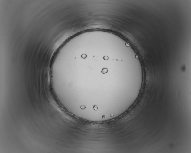 X0000116621274200912312131