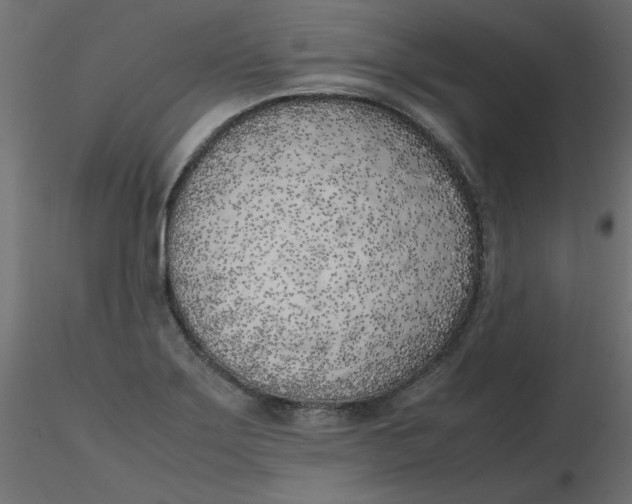 X0000116621275200912312131