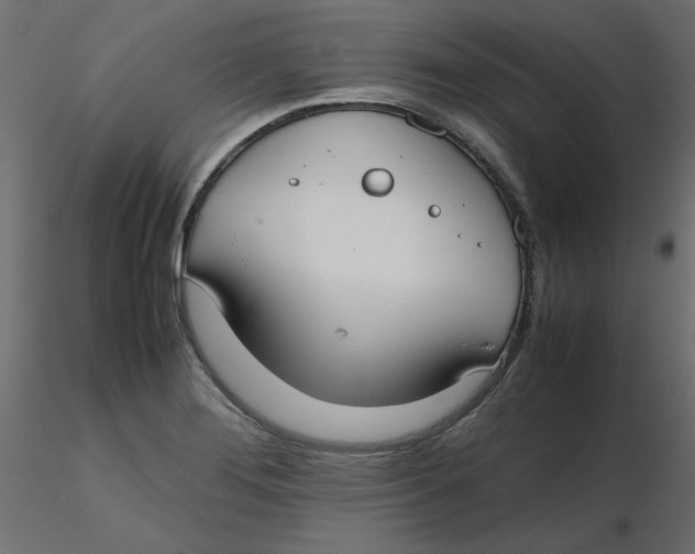 X0000116621276200912312131