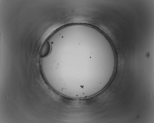 X0000116621277200912312131