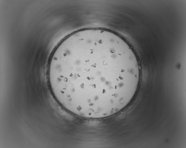 X0000116621278200912312131