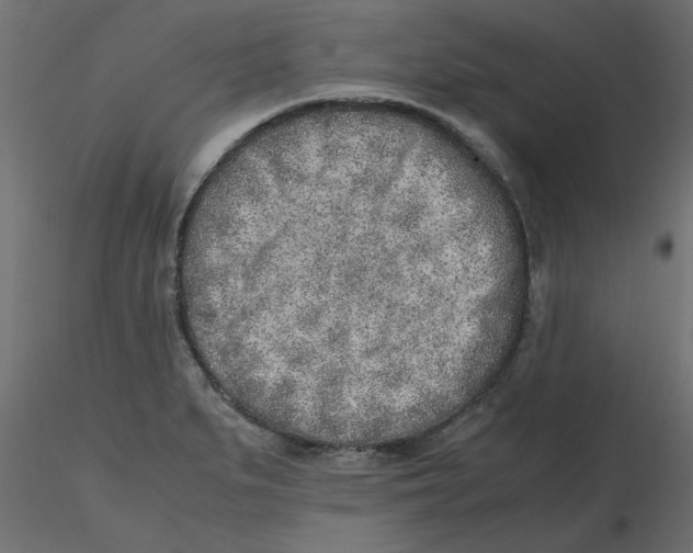 X0000116621279200912312131