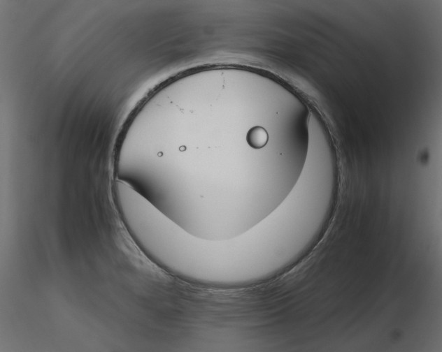 X0000116621280200912312131