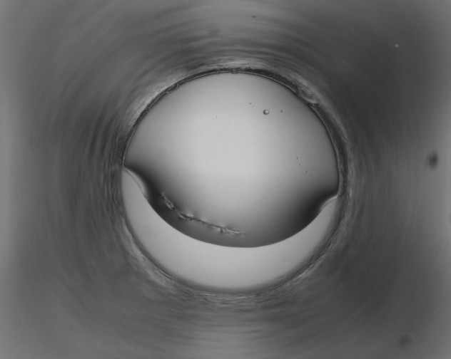 X0000116621281200912312131