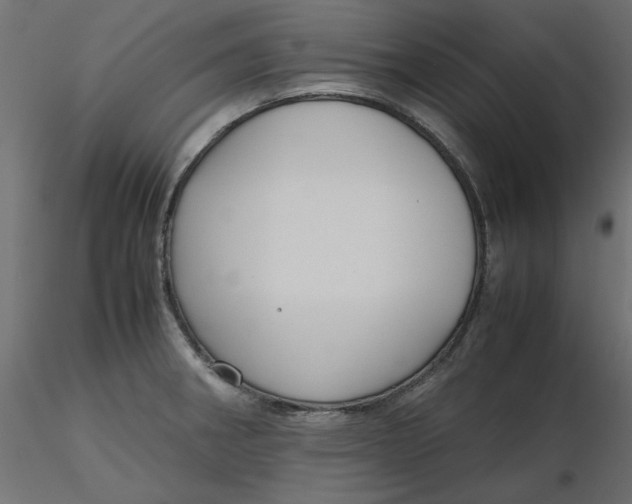 X0000116621282200912312131