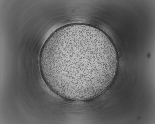 X0000116621283200912312131