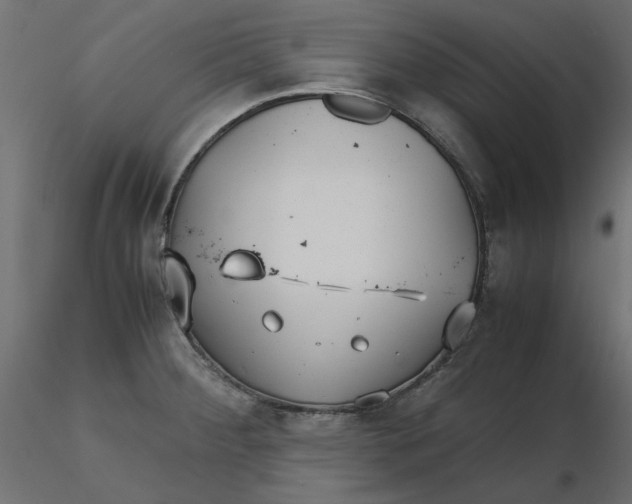 X0000116621284200912312131